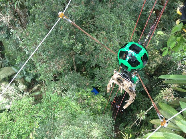 Fotografía - [Attention à l'arbre!] Google Maps Street View Rides A Zip Line Grâce La forêt amazonienne